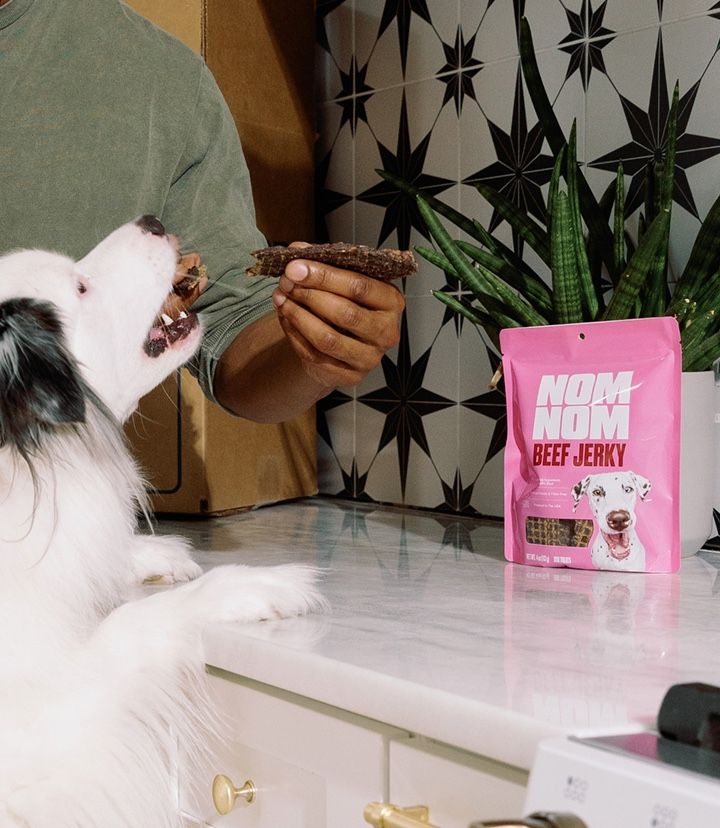 A dog being fed a Beef Jerky treat by its owner