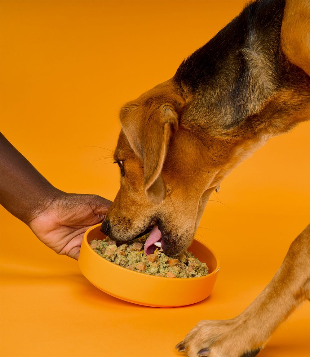 Chicken Cuisine Multi Pack