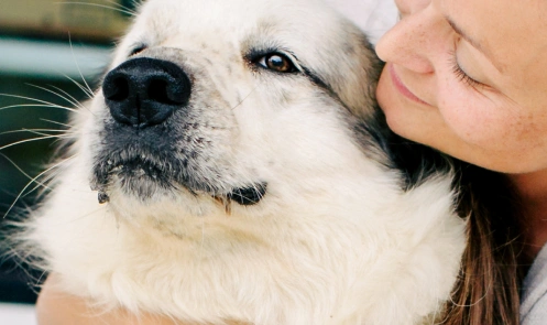 A woman kissing her fluffy dog