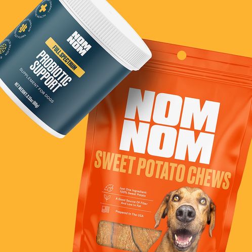 Dog eagerly waiting to be fed a Nom Nom meal