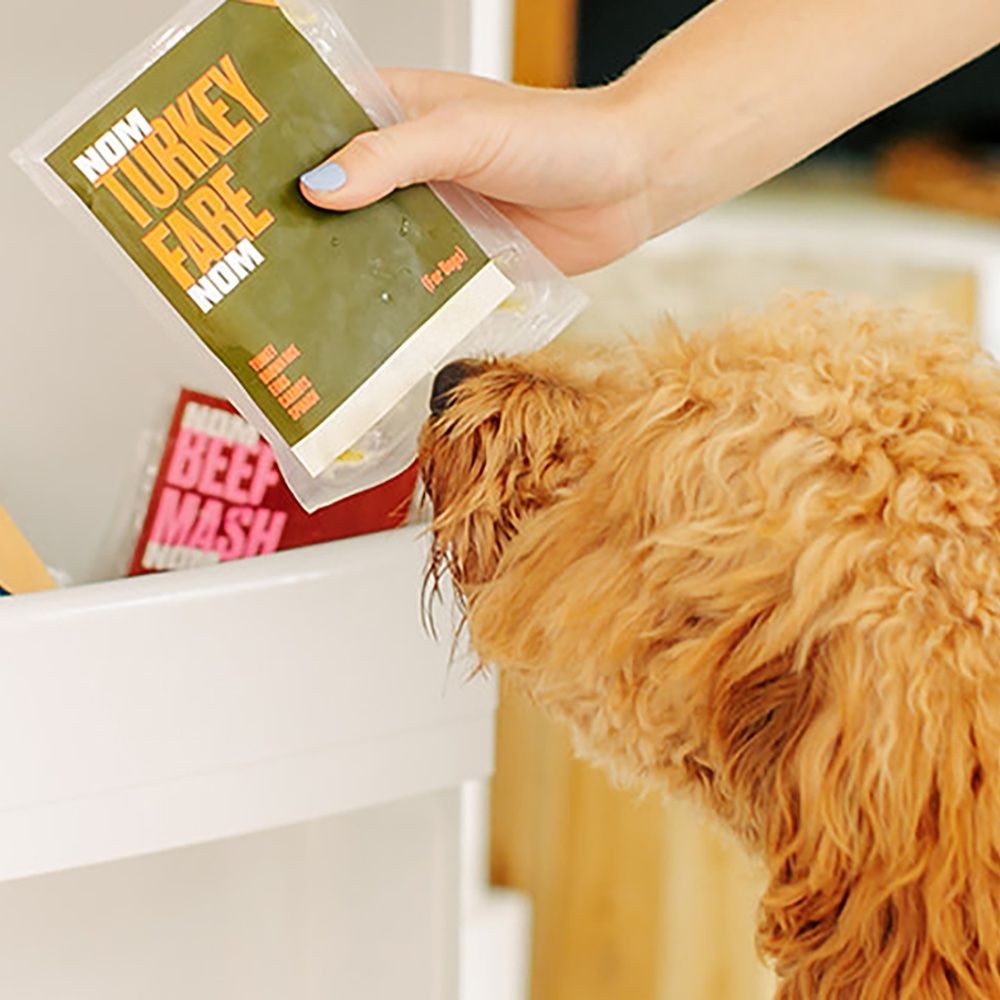 A dog peeks into the fridge as its owner pulls out a package of Nom Nom