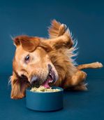 Energizing Nutrition