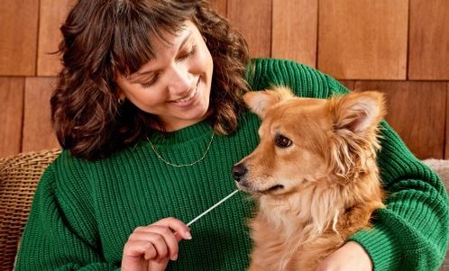 Woman swabbing dog's mouth