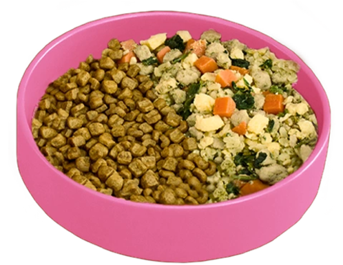 A bowl with half kibble