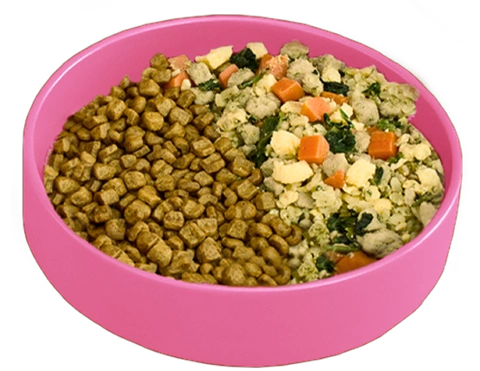 A bowl with half kibble