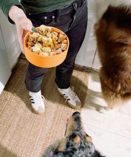 A human serving a bowl of Nom Nom Scoopables to a dog