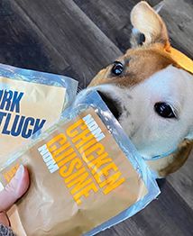 Placeholder Image 1 from Instagram