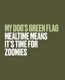 Placeholder Image 2 from Instagram