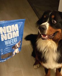 Placeholder Image 3 from Instagram