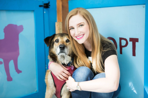 A dog adoption event