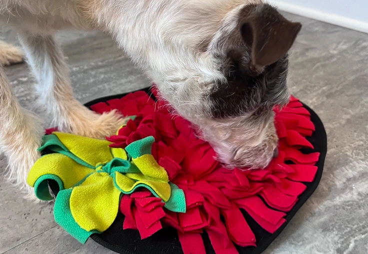 Dog playing with snuffle mat