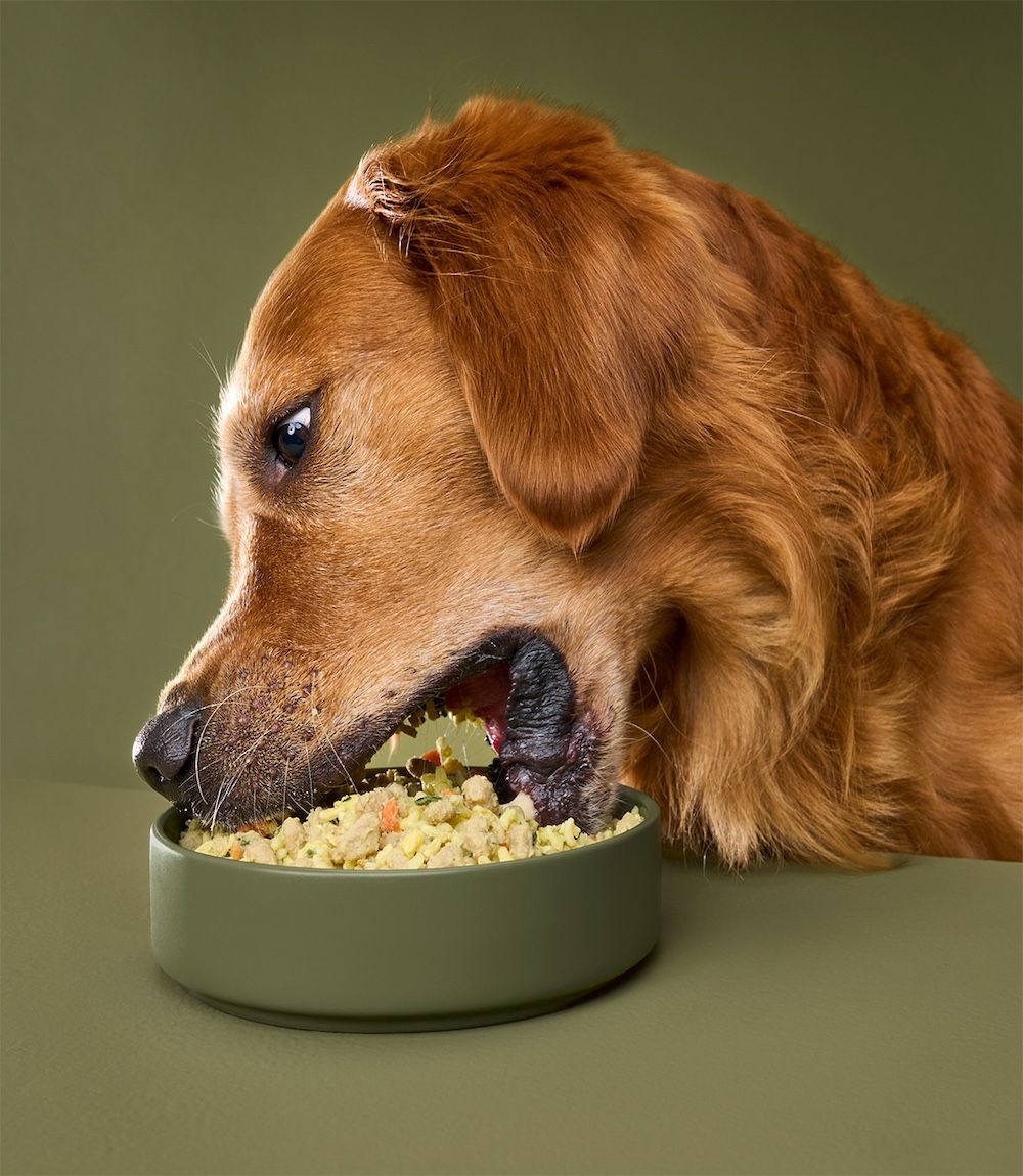 Turkey Fare Multi Pack