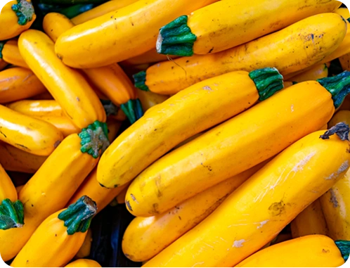 Yellow squash