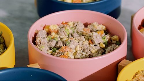 Multicolored bowls of delicious Nom Nom dog food