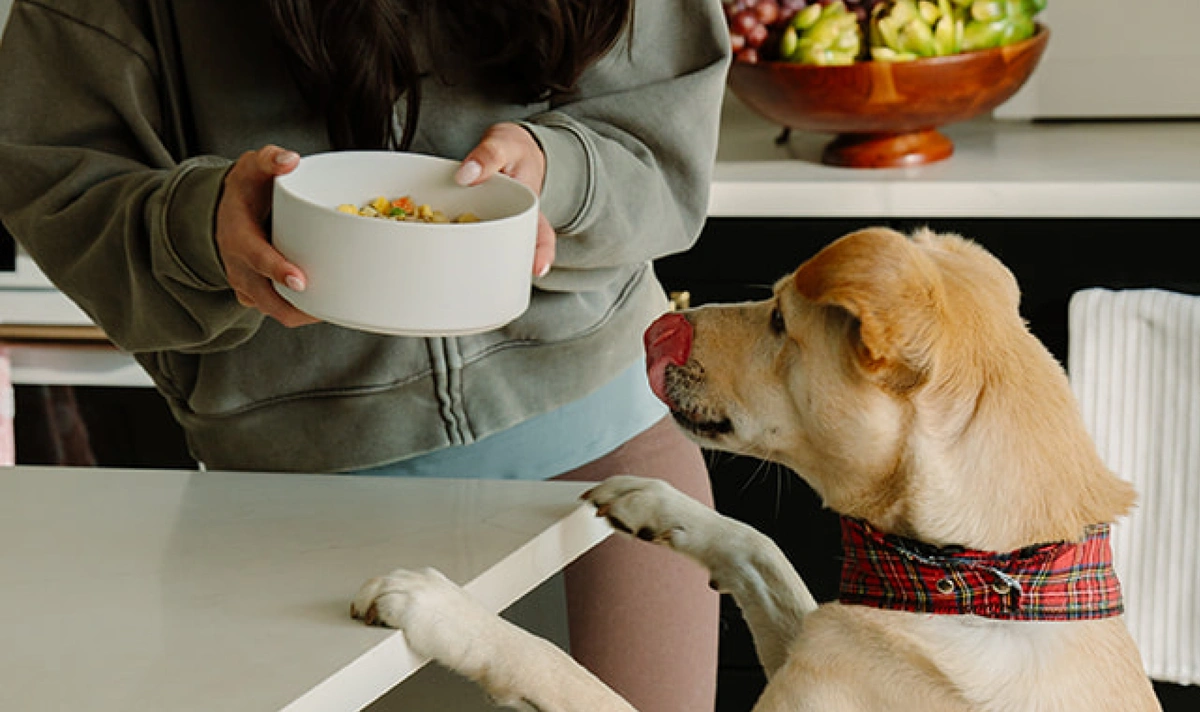 Food & Nutrition category hero image