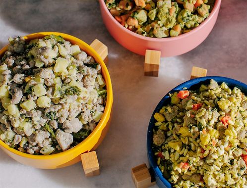 An assortment of Nom Nom meals served in colorful bowls