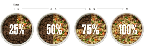 A happy dog with its ears up, licking its lips