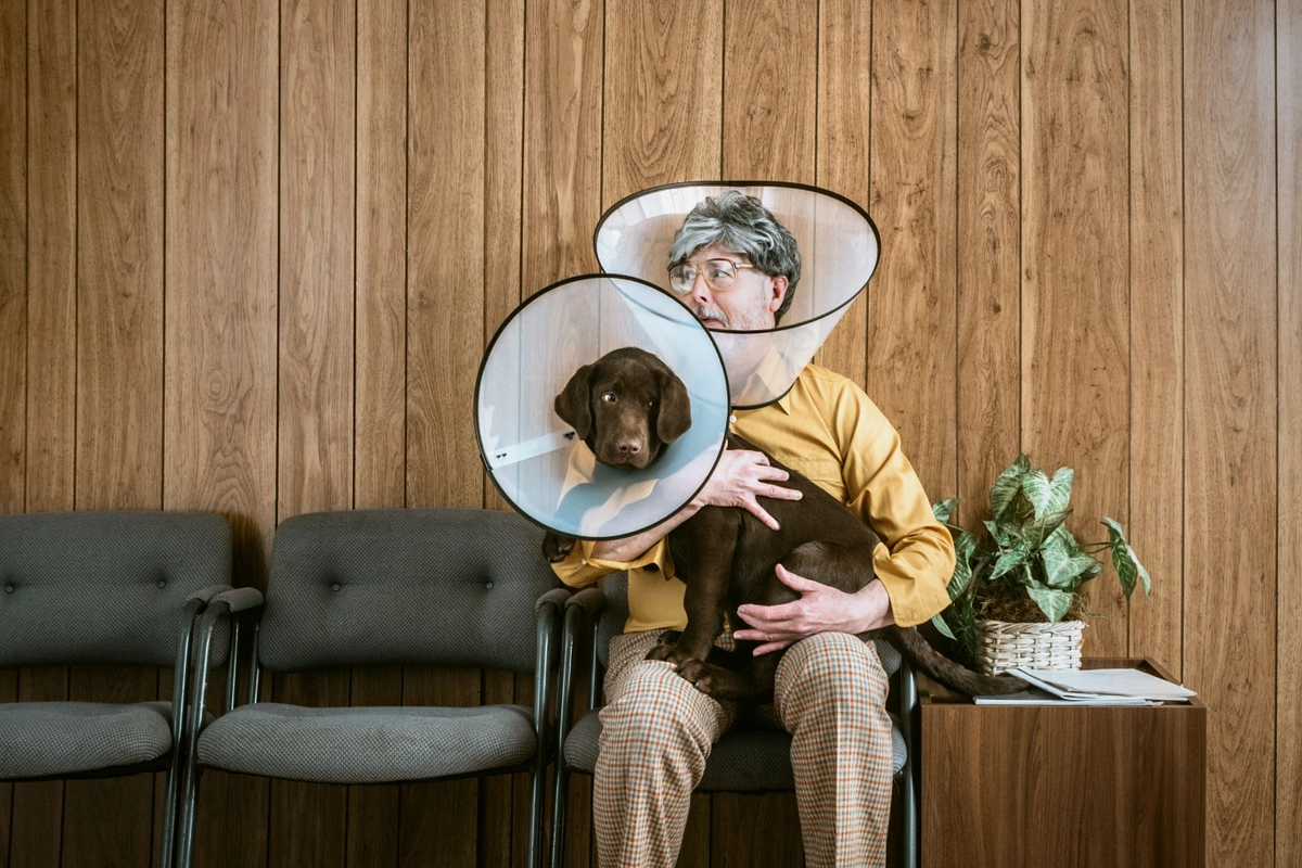 A dog and parent in cones