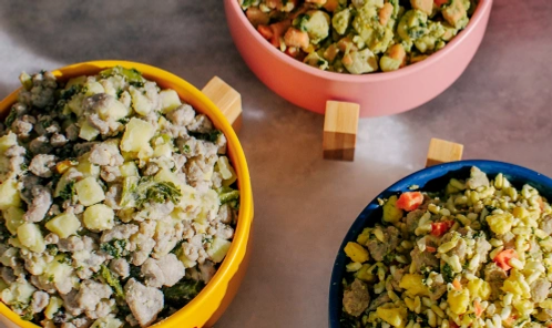 Bowls of Nom Nom dog food