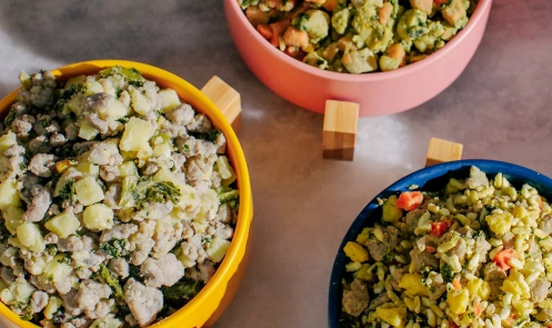 Bowls of Nom Nom dog food