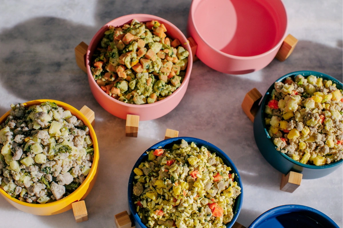 Bowls of Nom Nom dog food