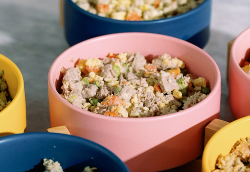 Colorful bowls of dog food