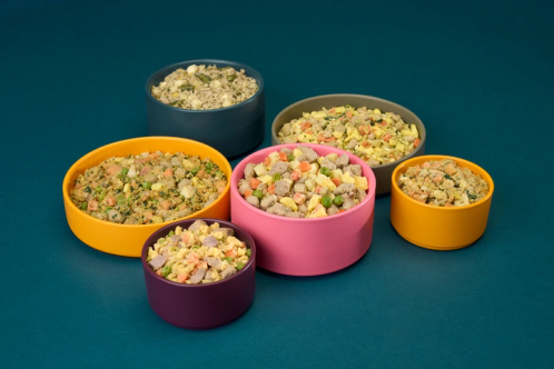 Multiple bowls of dog food against a blue background