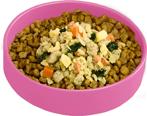 Nom Nom dog food on top of kibble