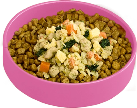 Nom Nom dog food on top of kibble