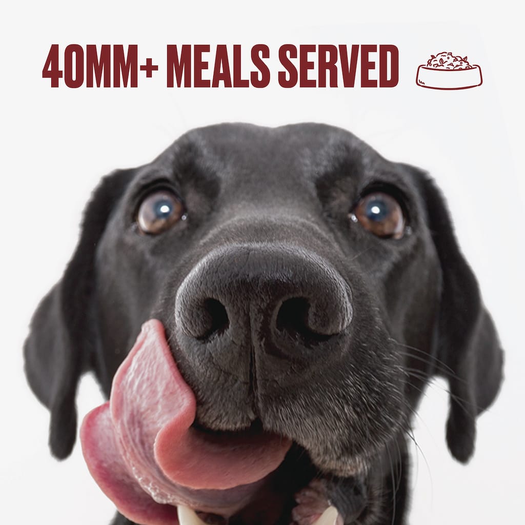 Nom Nom Variety Pack for Dogs - 40 Million Meals