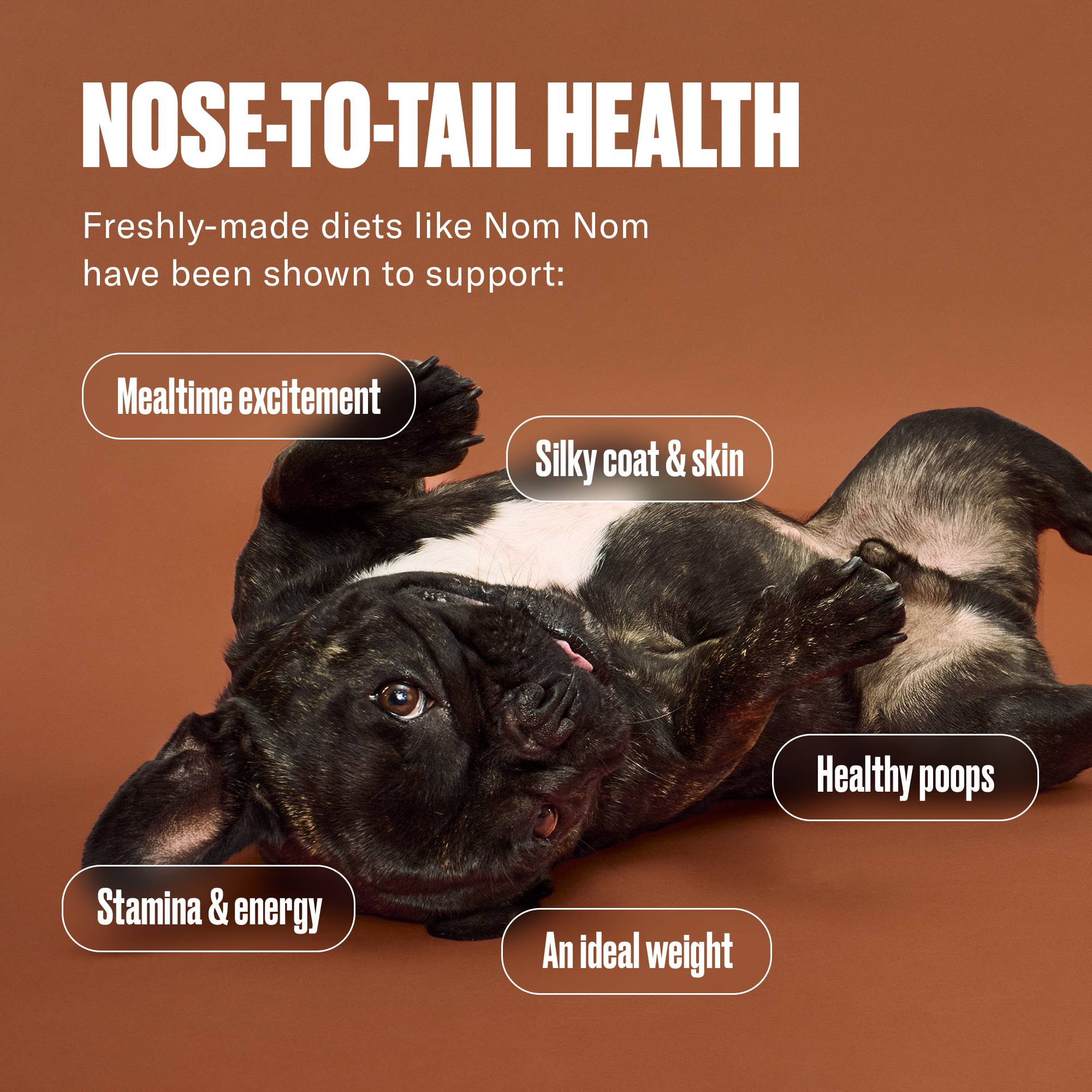 Nom Nom Sampler Pack for Dogs - Fresh Benefits
